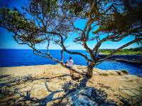 Michaël DESSEREY - MICHAEL DESSEREY